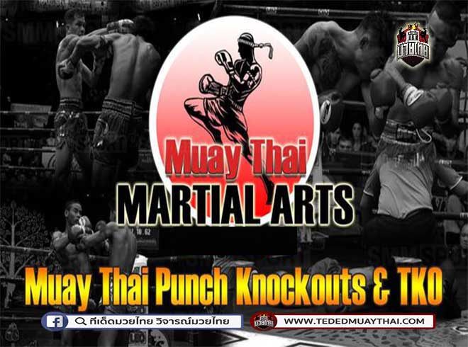 Muay Thai Marital Arts | Punch Knockouts & TKO